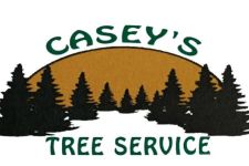 Photo of Casey’s Tree Service Photo of Casey’s Tree Service