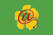 Photo of Main Street Health Insurance by Butler & Company Photo of Main Street Health Insurance by Butler & Company